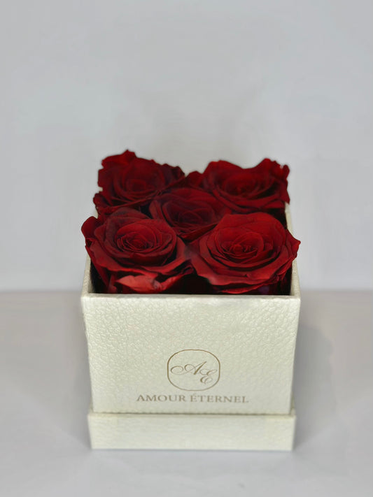 Amour Éternel Classic Small - (Cream)